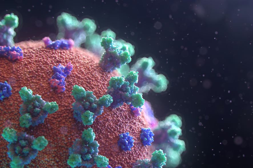 Befolyásolja-e a Covid a családtervezést?